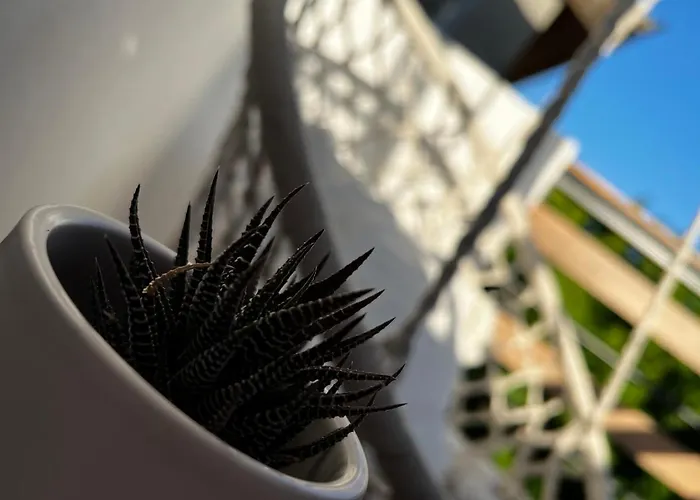 A&k Guest * Варна